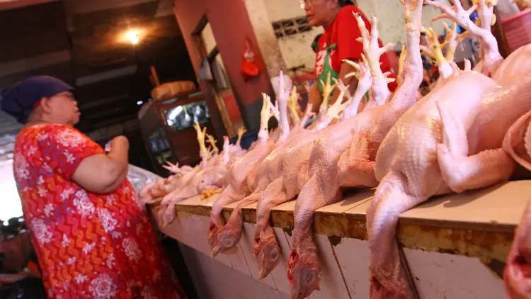 Wow Harga Ayam Tembus Rp28.000/Kg