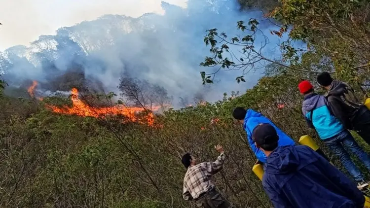 Hutan Gunung Papandayan di Garut Terbakar