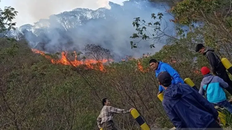 TWA Gunung Papandayan Aman dari Bencana Kebakaran Hutan