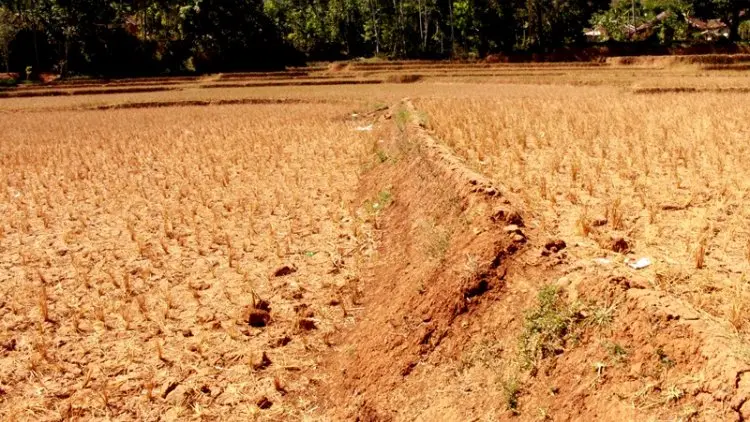 500 KK Warga Sukamulya Pakenjeng Garut Butuh Bantuan Pangan