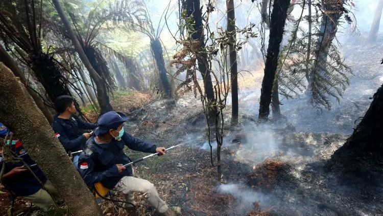 BPBD hingga Perhutani Gerak Cepat Tangani Kebakaran Kawah Putih