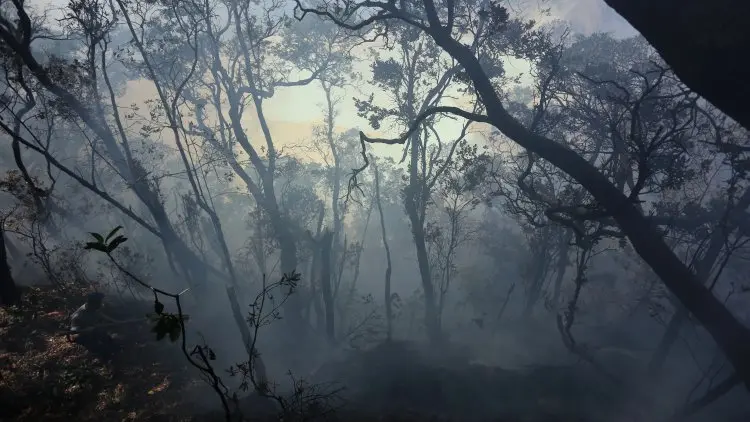 Kebakaran di Kawah Putih Diduga karena Puntung Rokok