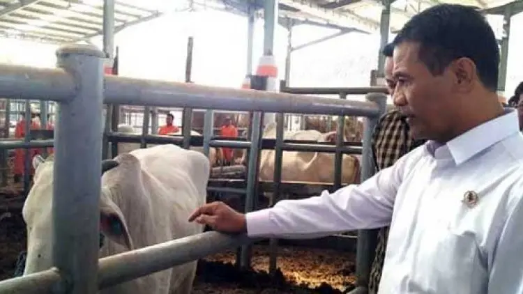 Di Tangan Mentan Amran Lahir Lima Juta Sapi