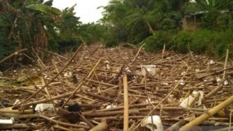 Haduh, Sungai Cikeas Bekasi Tertutup 1.200 Kubik Sampah Bambu