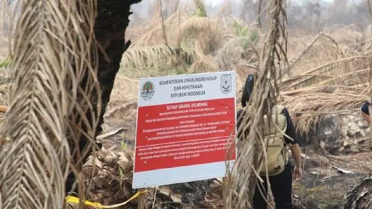 KLHK Proses Terpadu Kasus Karhutla PT GH dan PT TI