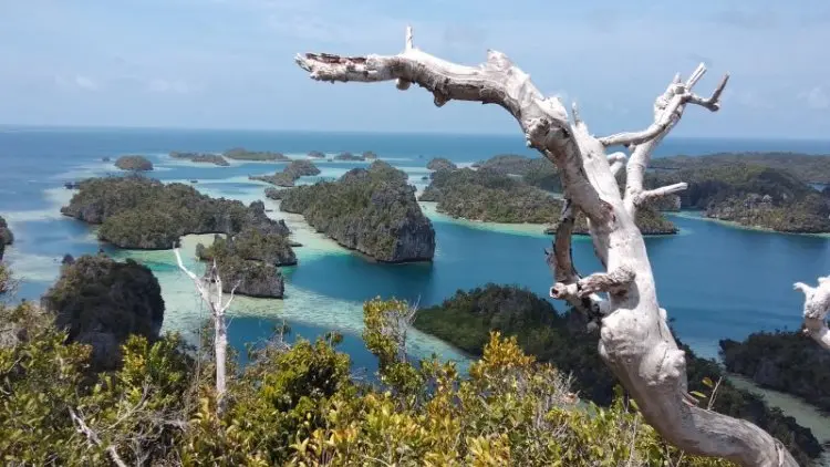 Menhub Kaji Pembangunan Bandara Baru di Raja Ampat