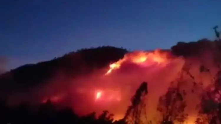Kebakaran Gunung Ranti Berawal dari Bondowoso