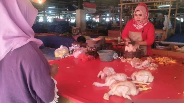 Harga Daging Ayam di Cianjur Kembali Naik
