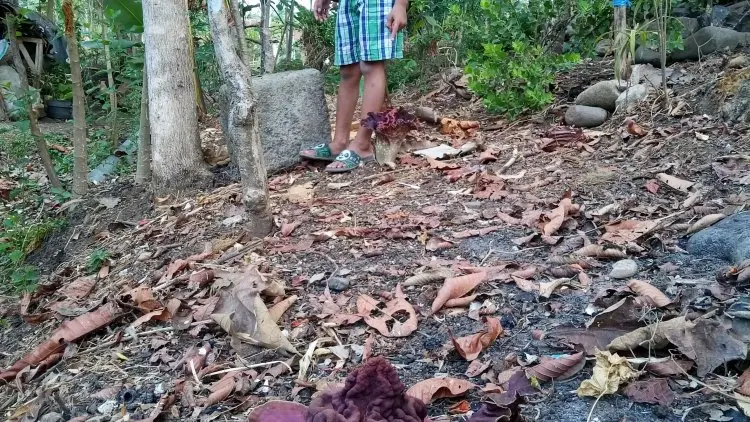 Bau Bangkai Tercium dari Belakang Rumah Warga, Ternyata ..