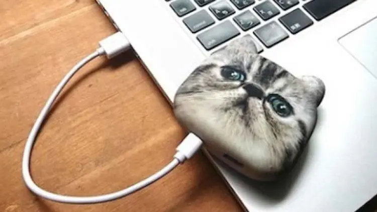 Charger Ponsel Berbentuk Kepala Kucing