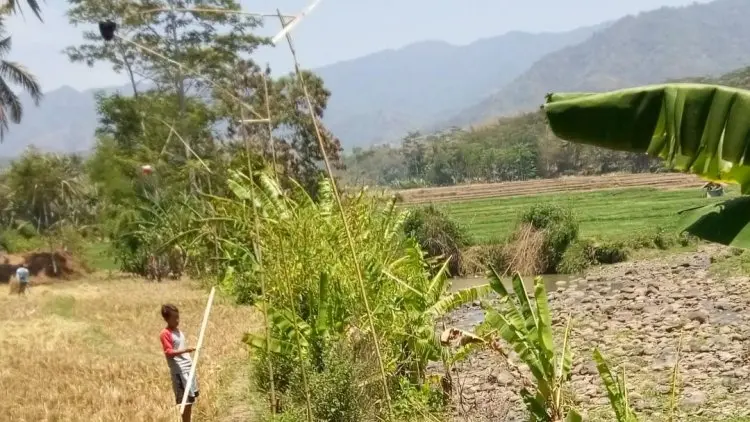 Kolecer Mainan Tradisional yang Makin Langka