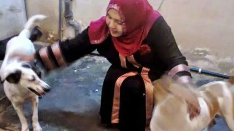 Kekeliruan Sebagian Muslim yang Halalkan Anjing