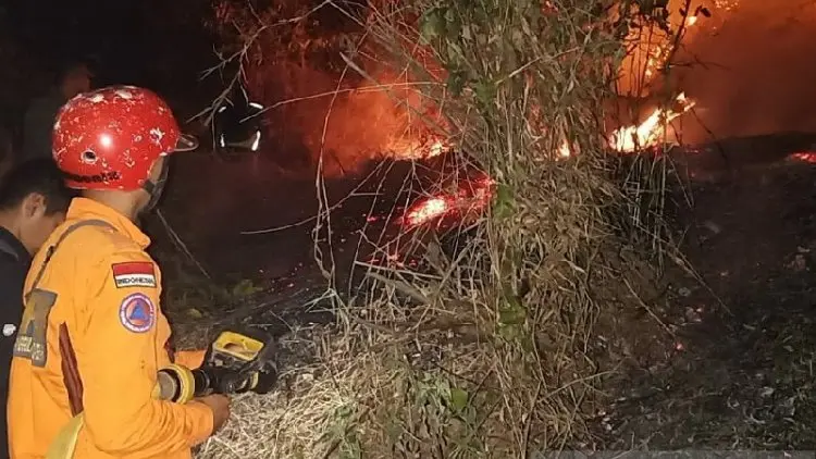 Kebakaran Hutan di Garut, BPBD: Sudah Diatasi
