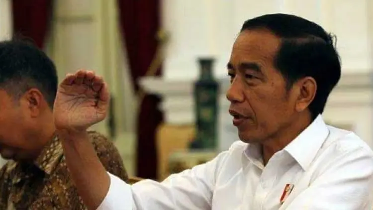 Lima Calon Wamen bidang Ekonomi Menghadap Jokowi
