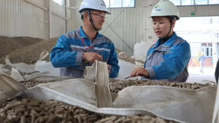 Keren, Petani Ini Untung Rp5,9 Miliar dari Jerami