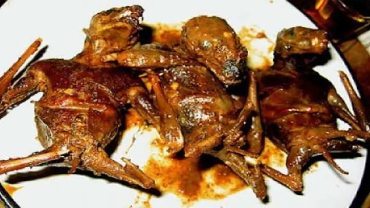 Daging Kelelawar, Halalkah?