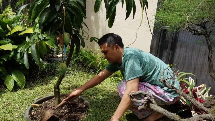 Aan Andi Purnama: Berkebun Melatih Kesabaran dan Kreativitas
