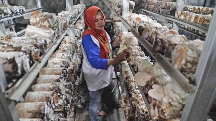 Rumdani, Mengubah Masyarakat Buta Aksara Menjadi Wirausaha