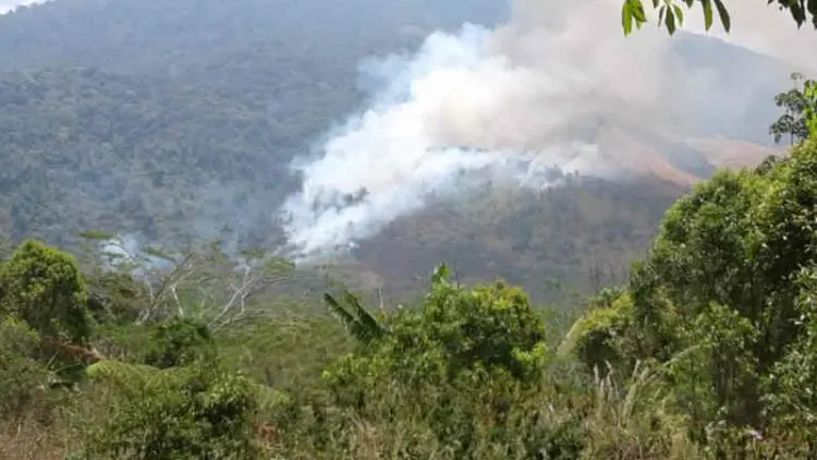 Kebakaran Gunung Ciremai Semakin Meluas