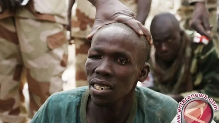12 Tentara Niger Tewas, Diduga Diserang Boko Haram