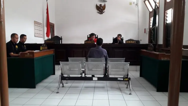 Sepanjang 2019, Satpol PP Sanksi Penebang Pohon Ilegal Rp34 Juta