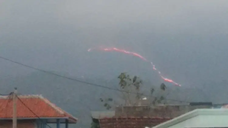 BBKSDA Identifikasi Kebakaran Hutan di Gunung Guntur Garut