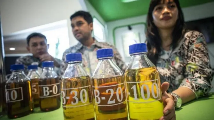 Pengamat Dukung Pertamina Lanjutkan Program Biodiesel B30