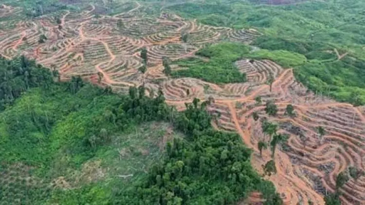 Ketika Para Pembuat Kerusakan Semakin Banyak