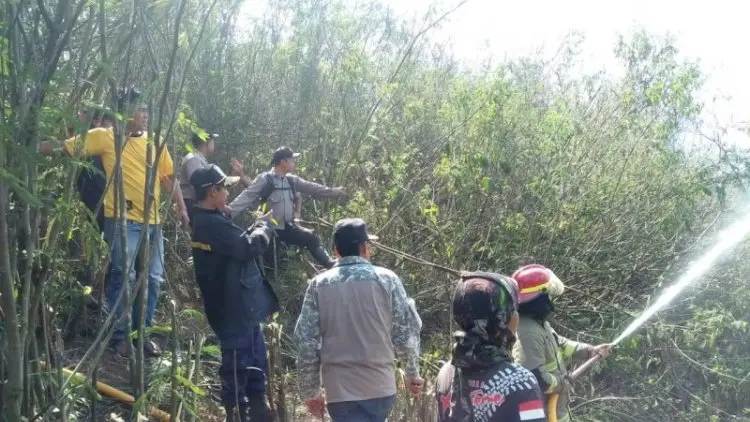 Kebakaran Hutan di Sukabumi Diduga Akibat Puntung Rokok