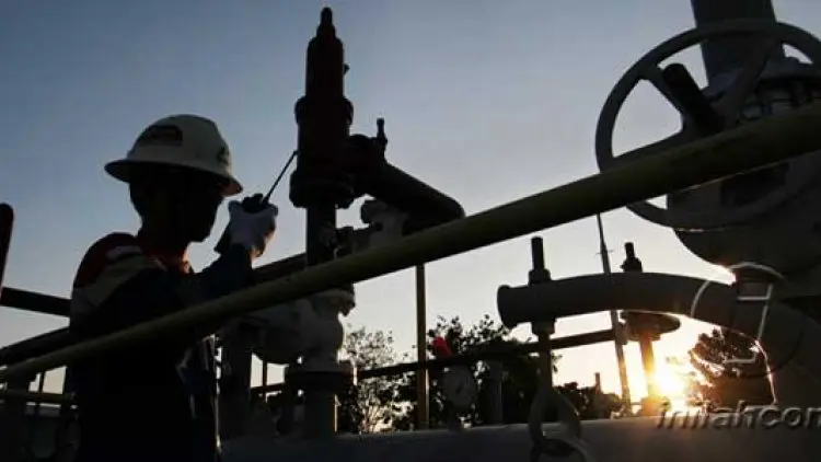 Geothermal, Pertamina Manfaatkan Energi Bersih