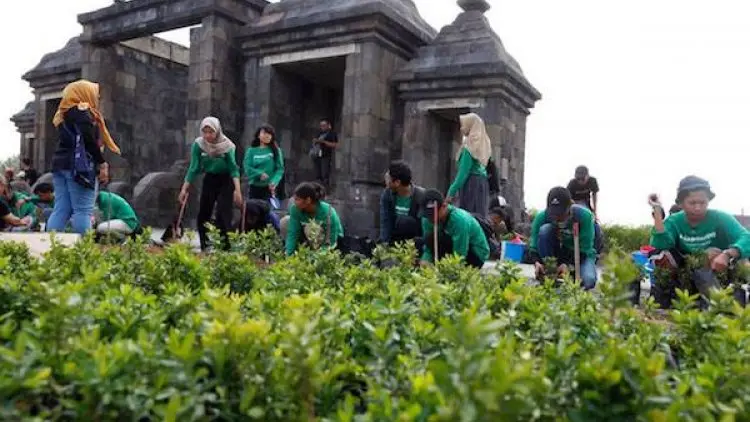 Candi Darling, Situs Wisata Candi Ratu Boko Ditanami Ribuan Pohon