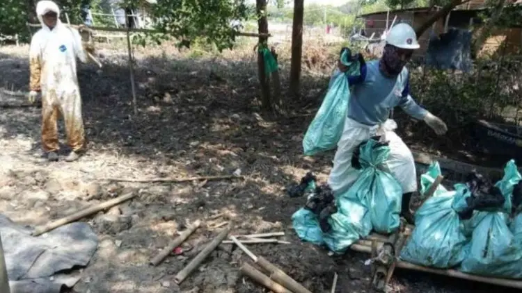 Tumpahan Minyak di Pesisir Karawang Akibat Cuaca Buruk