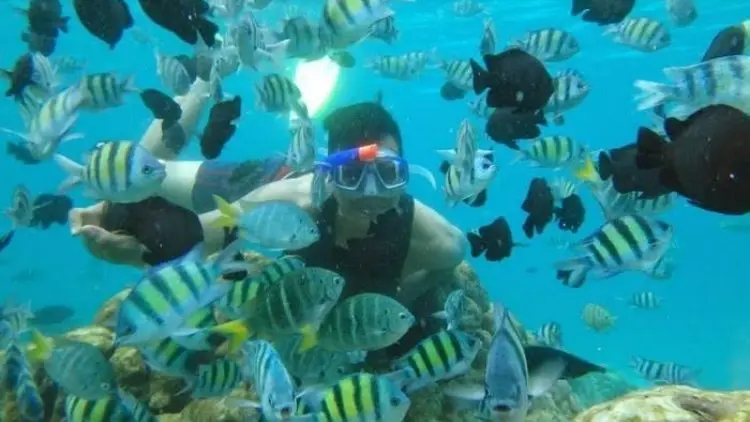 Dive Nobatkan Indonesia, Best Destination 2019