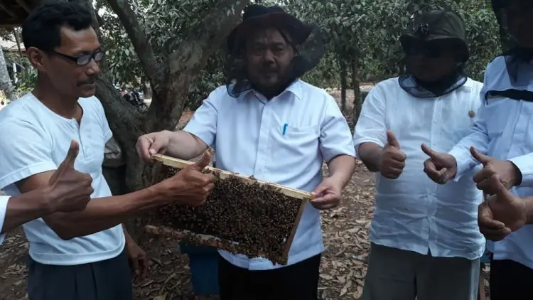 Aduhai Manisnya Madu Jawa Barat