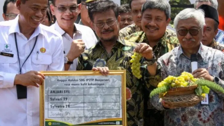 Kementan: Produksi Kedelai Terendah pada Oktober 2019