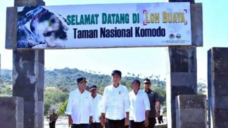 Komodo 'Hanya untuk Orang Kaya', Wisatawan Bisa ke Rinca