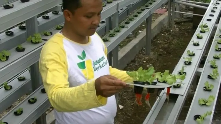 Pemkot Sukabumi Optimalkan Produksi Pangan Lokal