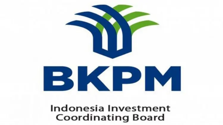 BKPM Sebut Ada 190 Kasus Investasi