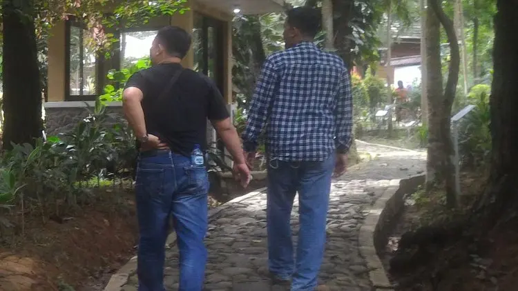 BumDes Sukaharja Cijeruk 'Jual' Bukit Panorama Alam Pinus