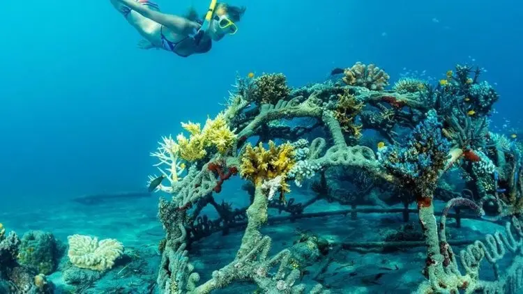 Buleleng Bali Dive Festival 2019 Hadirkan 19 Event