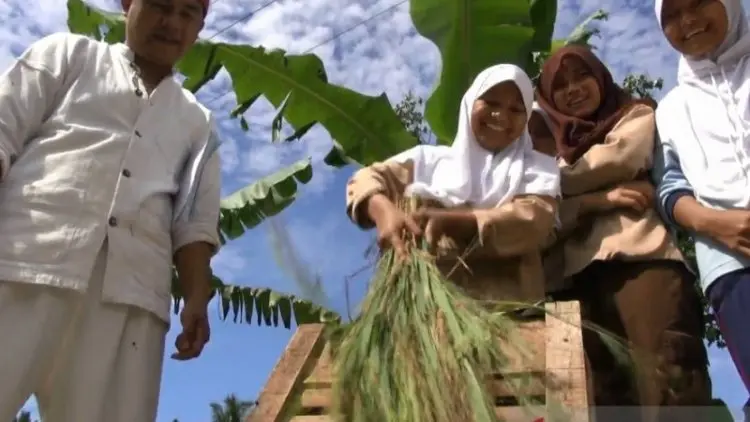 Surplus Beras Kabupaten Sukabumi Mencapai 400 Ribu Ton
