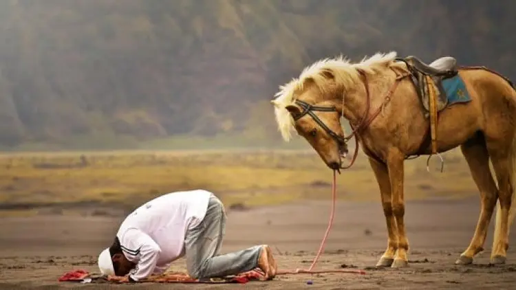 Ini Rincian Sujud dalam Salat yang Benar