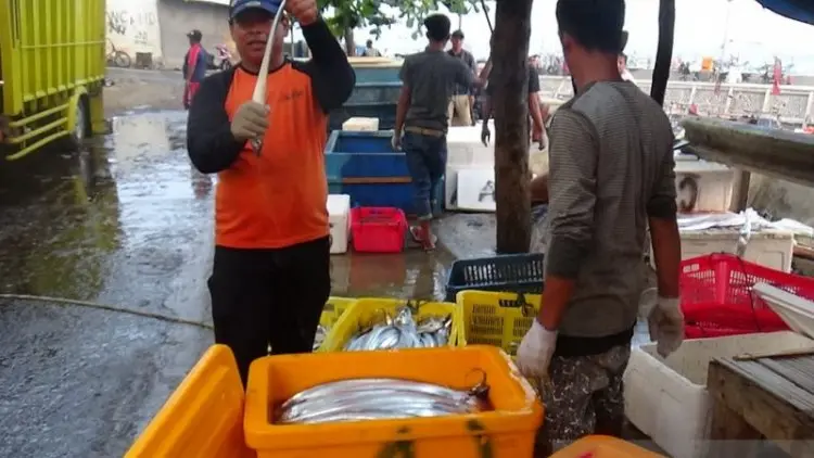 Lobster di Pantai Selatan Rp250 Ribu per Kilogram