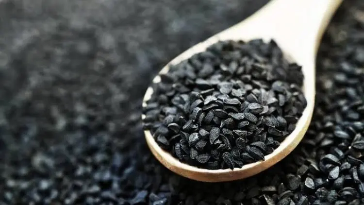 Jinten Hitam, Sang Penakluk Penyakit