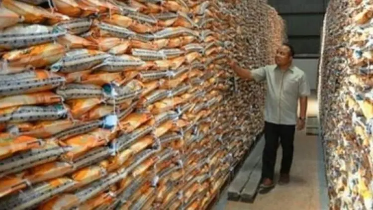 Rencana Bulog Buang Beras 20 Ribu Ton Dikritisi
