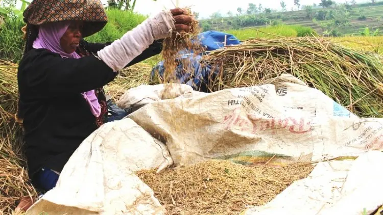 Banyak Bencana, DKP Garut Ajukan CPPD 50 Ton