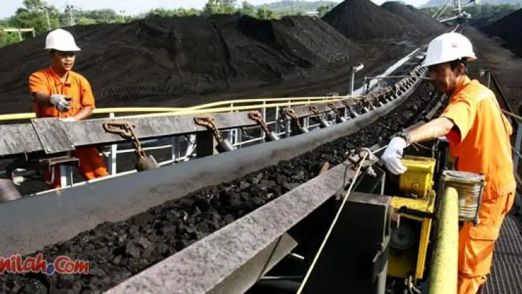 Batu Bara Tak Ganggu Ekosistem di Kawasan PLTU