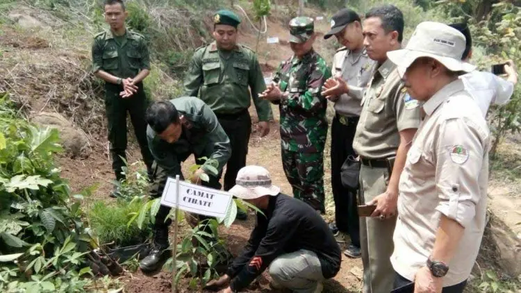BP DAS Cimanuk-Citanduy dan Perhutani Tanam 7.100 Pohon