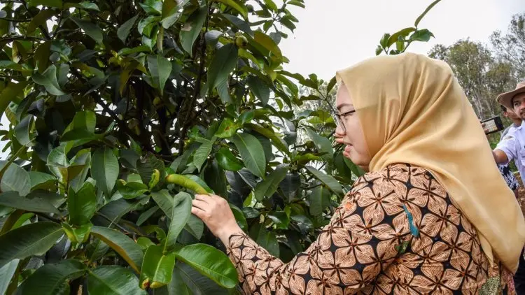 Ini Kendala Pemkab Purwakarta Tuntaskan Sertifikasi Aset Pemerintah