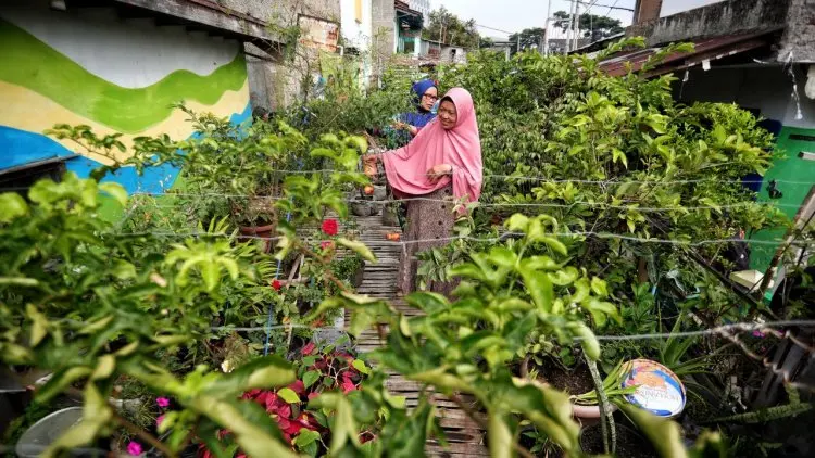 Pemkot Bandung Tambah Komoditas Kampung Berkebun